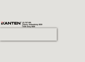 Obrzeże Ekanten E-707 BS SZARY Jedwabisty