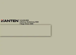Obrzeże Ekanten Egger E-638 BS Zielony Szałwiowy