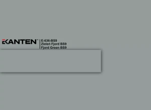 Obrzeże Ekanten Egger E-636 BS Zieleń Fjord
