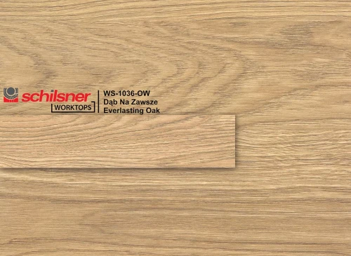ws-1036-ow-dab-na-zawsze-everlasting-oak-ow-d1036.webp