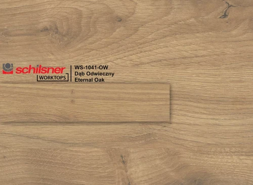 ws-1041-ow-dab-odwieczny-ow-eternal-oak-d1041.webp