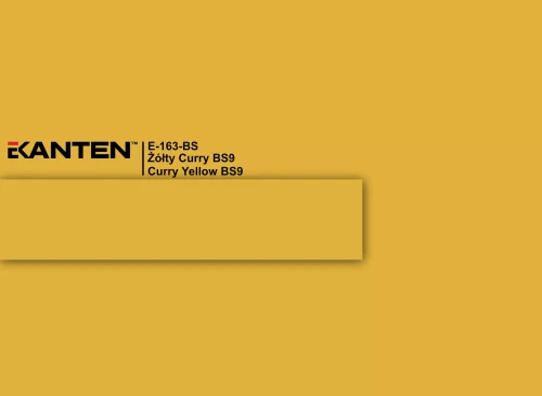 e-163-bs-zolty-curry-bs9-curry-yellow-bs9-u163-scaled.webp