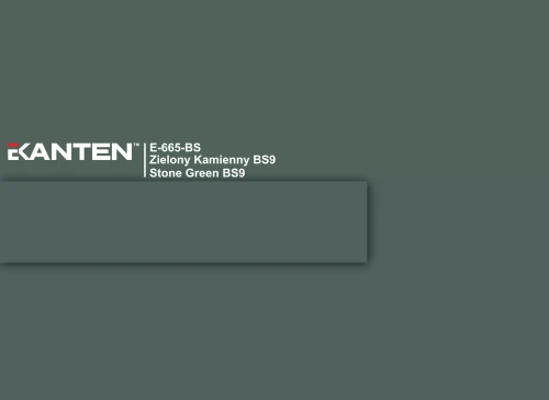 e-665-bs-zielony-kamienny-bs9-stone-green-bs9-u665-scaled.webp