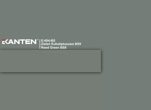 e-604-bs-zielen-eukaliptusowa-bs9-reed-green-bs9-u604-scaled.webp