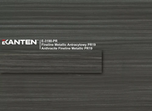 E-3190-PR-FINELINE-METALLIC-ANTRACYTOWY-PR19-ANTHRACITE-FINELINE-METALLIC-H3190-scaled.webp