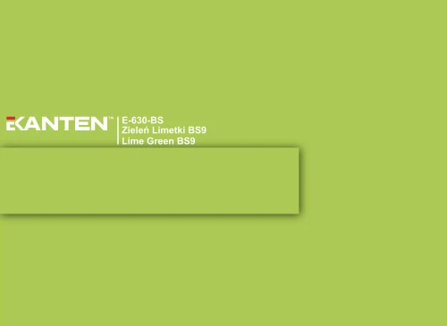 e-630-bs-zielen-limetki-bs9-lime-green-u630-scaled.webp