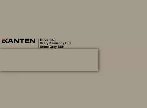 e-727-bs9-szary-kamienny-bs9-stone-grey-bs9-u727-scaled.webp
