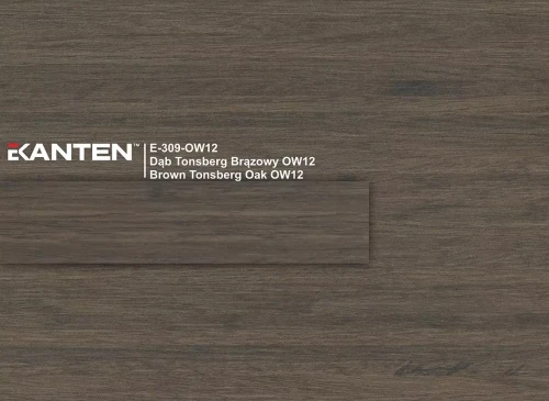 e-309-ow12-dab-tonsberg-brazowy-ow12-h309.webp