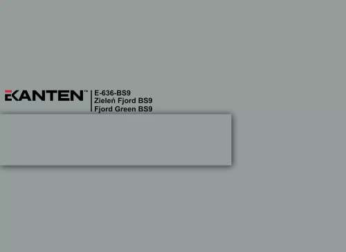 e-636-bs9-zielen-fjord-bs9-fjord-green-bs9-u636.webp