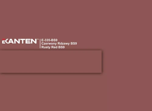 e-335-bs9-czerwony-rdzawy-bs9-u335.webp