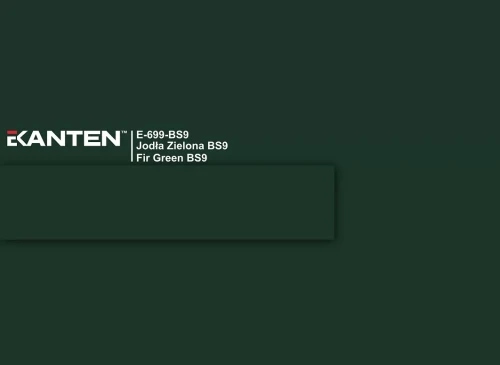 e-699-bs9-jodla-zielona-bs9-u699.webp