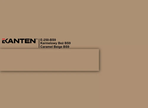 E-250-BS9-scaled.webp