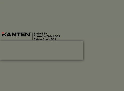 E-669-BS9-scaled.webp