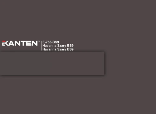 E-755-BS9-scaled.webp