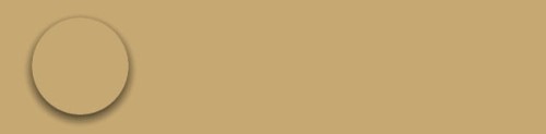 dijonyellows4438vl.jpg